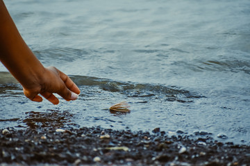 Close up of human hand floating flower in water.