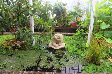 Botanical Garden greenhouse