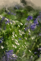 Digital watercolor painting of Stunning high contrast vibrant image of wild daisies on Spring forest floor