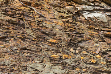 Natural volcanic stone texture. Rock texture and background.