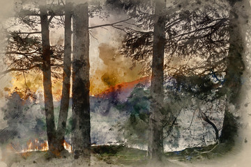 Digital watercolor painting of Beautiful landscape image of Tarn Hows in Lake District during beautiful Autumn Fall evening sunset
