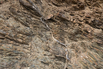 Natural volcanic stone texture. Rock texture and background.