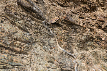 Natural volcanic stone texture. Rock texture and background.