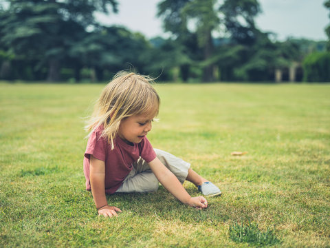 Little toddler sitting on the grass in a park