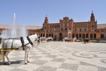 Naklejka premium Piazza di Spagna - Siviglia
