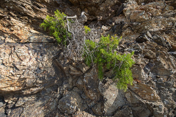 Natural volcanic stone texture. Rock texture and background.
