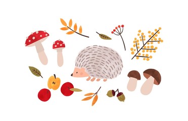 Forest flora and fauna hand drawn vector illustration © Good Studio