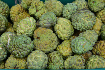 custard apple, custard apple from Thailand country