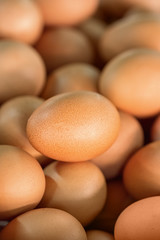 Many brown eggs close up