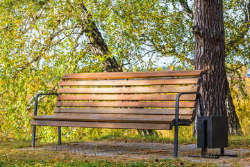 Empty park bench with trees in an autumn sunny day.