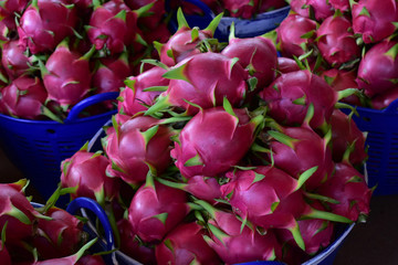 Dragon fruit, hylocereus, Dragon fruit from Thailand country