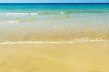     Empty sandy beach. Summer day. Waves on the seashore. Vector illustration.