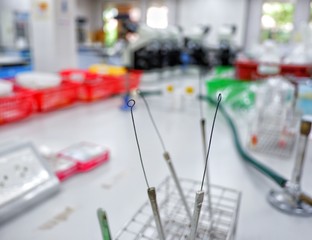 inoculating loop in microbiology laboratory