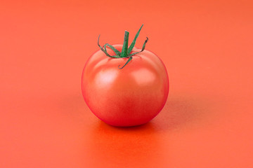 red tomato isolated on red background