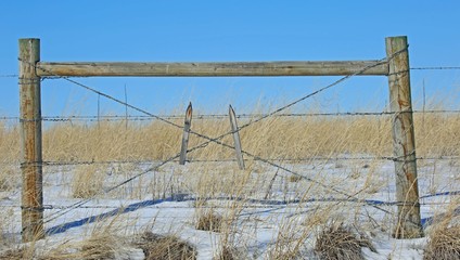 bridge over river in winter