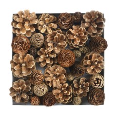 Christmas decoration made of pine cones