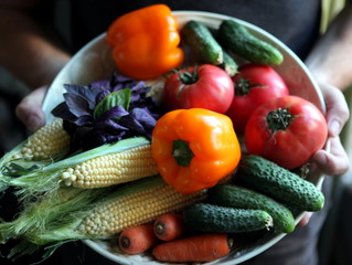 Hands holding a bowl of organic vegetables and herbs