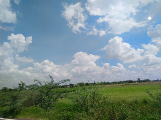 green field and blue sky