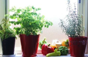 窓辺の野菜たち
