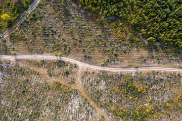 road through the forest, top view