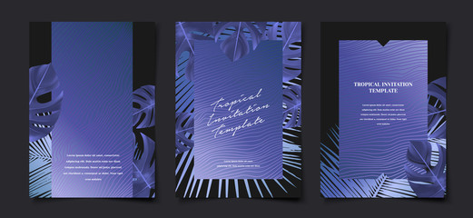 Set of elegant black tropical foliage monstera leaf cover layout template