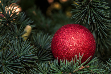 Obraz na płótnie Canvas Christmas / New Year Red Decorative Ball on The Pine Tree