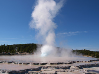 Geyser in Yellowstone