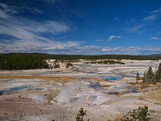 Yellowstone Landscape
