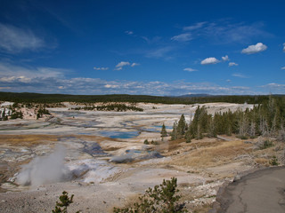 Yellowstone Landscape