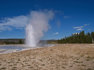 Geyser in Yellowstone