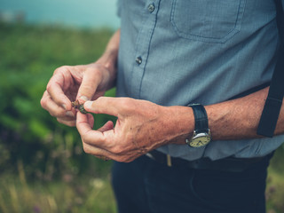 Close up on senior man's hands holding seeds