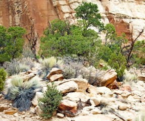 waterfall in the park