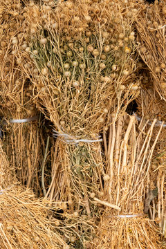 Dried Harmal