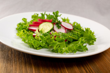 Spring Radish Salad with Cucumber or Simple Rustic Salat