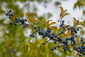 Allphotokz Turn 20190901 8589 D810