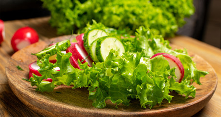 Spring Radish Salad with Cucumber or Simple Rustic Salat