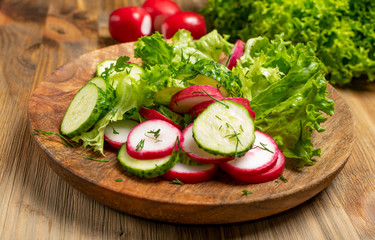 Spring Radish Salad with Cucumber or Simple Rustic Salat