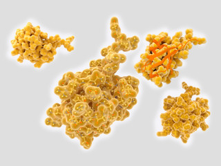 Structure of ubiquitinin, a key regulatory protein, in various depiction styles