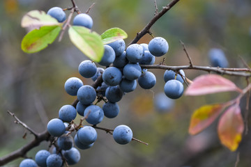 Allphotokz Turn 20190901 8598 D810