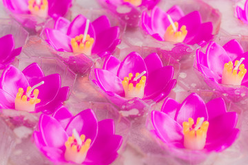 Pink lotus candle, Flowers candle floating on water in the temple