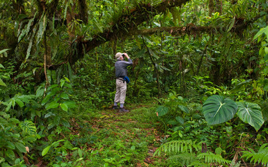 Birder looking for birds along trail through the upland rainforest of the Hacienda Hakuna Matata near Archidona, Ecuador.