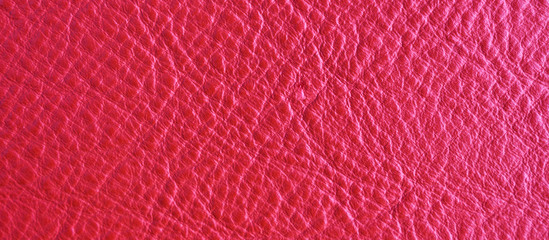 Multicolored leather texture closeup, trend background