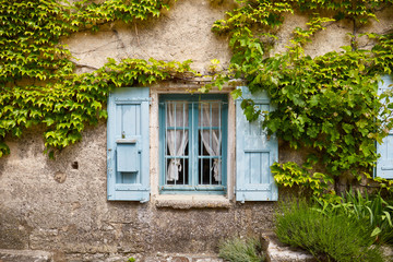 Fototapeta na wymiar French village window and vines in Provence