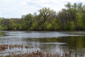 Beautiful summer landscape by the river