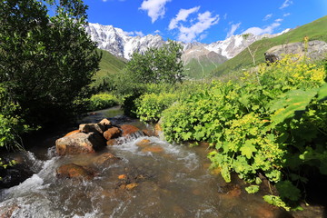 Landscape views of the Caucasus Mountains, river and villages. Peak and river Enguri. Georgia. Summer. 2019