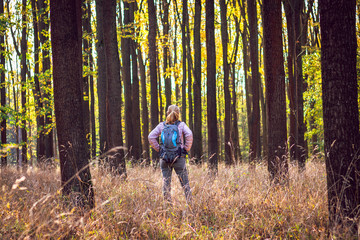 Fototapeta premium Hiking woman at autumn forest