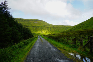 Fototapeta na wymiar Mountain Road between pines and bench in Gleniff Horseshoe, Benbulben, Sligo, Wild Atlantic Way, Ireland