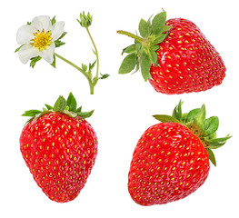Strawberry with flower isolated on white background