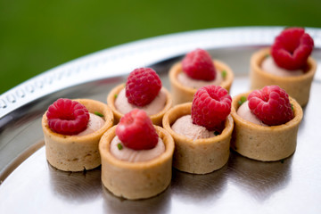 Appetizer party. Food. Gastronomy. Party