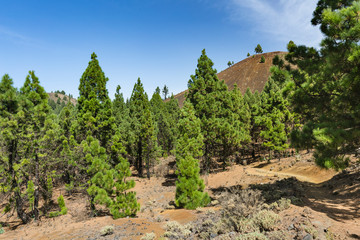 Fototapeta na wymiar Cumbre Vieja Trail, La Palma, Spain